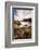 Coastline at Cabrillo National Monument-Andrew Shoemaker-Framed Photographic Print
