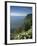 Coastline at Miradouro de Sossego Viewpoint, Sao Miguel Island, Azores, Portugal-Alan Copson-Framed Photographic Print