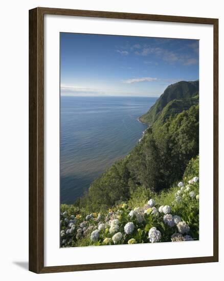 Coastline at Miradouro de Sossego Viewpoint, Sao Miguel Island, Azores, Portugal-Alan Copson-Framed Photographic Print