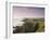 Coastline, Bude, Cornwall, England, United Kingdom-Adam Woolfitt-Framed Photographic Print