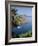 Coastline, Esterel, Cote d'Azur, Provence, Mediterranean, France-John Miller-Framed Photographic Print