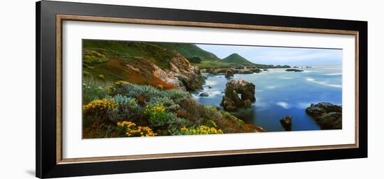 Coastline, Garrapata State Park, Monterey, California, USA-null-Framed Photographic Print