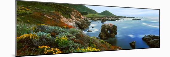 Coastline, Garrapata State Park, Monterey, California, USA-null-Mounted Photographic Print