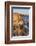 Coastline in Cabrillo National Monument-Richard Cummins-Framed Photographic Print