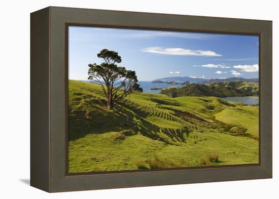 Coastline Looking North Towards Coromandel and Hauraki Gulf-Stuart-Framed Premier Image Canvas