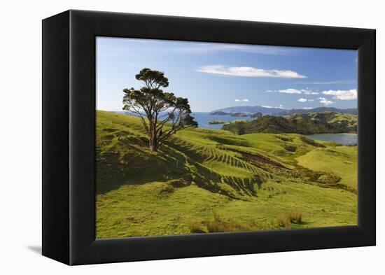 Coastline Looking North Towards Coromandel and Hauraki Gulf-Stuart-Framed Premier Image Canvas