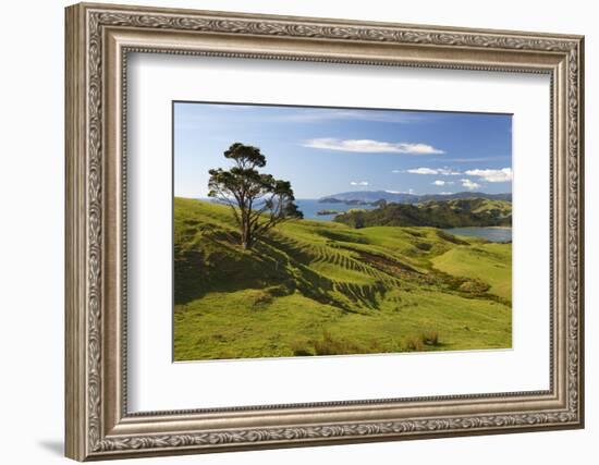 Coastline Looking North Towards Coromandel and Hauraki Gulf-Stuart-Framed Photographic Print