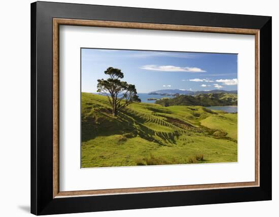 Coastline Looking North Towards Coromandel and Hauraki Gulf-Stuart-Framed Photographic Print