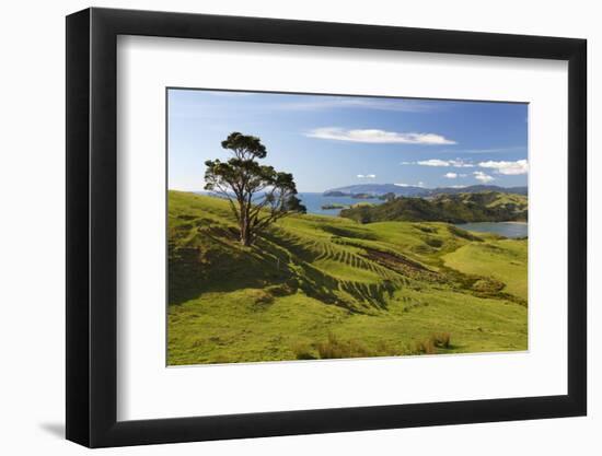 Coastline Looking North Towards Coromandel and Hauraki Gulf-Stuart-Framed Photographic Print