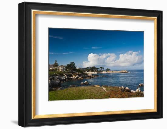 Coastline, Monterey Bay, Monterey, California, USA-null-Framed Photographic Print