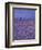 Coastline near Old Town Nice, France-Connie Ricca-Framed Photographic Print