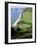 Coastline Near Sidmouth, Devon, England, United Kingdom-Cyndy Black-Framed Photographic Print