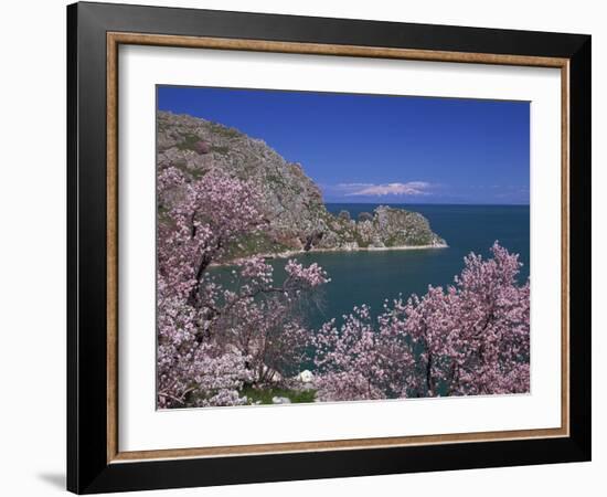 Coastline of Akdamar Island on Lake Van, with Mount Ararat on Horizon, Anatolia, Turkey Minor-Woolfitt Adam-Framed Photographic Print