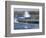 Coastline of Aruba, Caribbean-Robin Hill-Framed Photographic Print