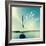 Coastline Sailboat Explore V.2-Sue Schlabach-Framed Art Print