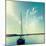 Coastline Sailboat Explore V.2-Sue Schlabach-Mounted Art Print