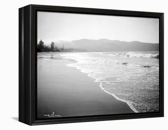 Coastline Scene, Washington, Circa 1910-Asahel Curtis-Framed Premier Image Canvas