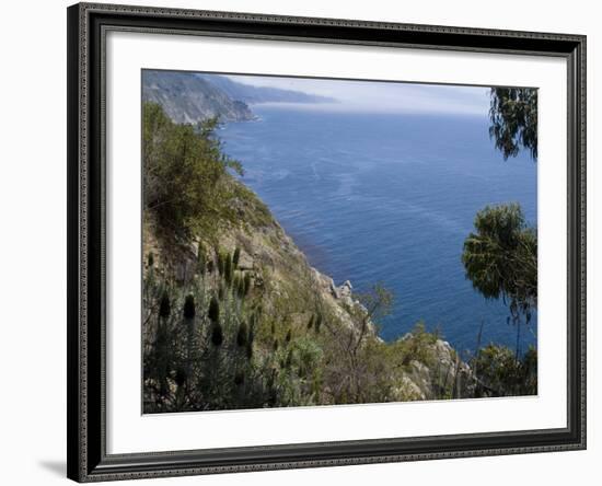 Coastline View, Big Sur, California, United States of America, North America-Ethel Davies-Framed Photographic Print