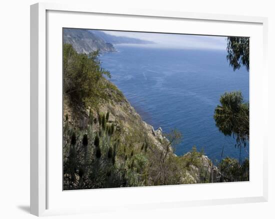 Coastline View, Big Sur, California, United States of America, North America-Ethel Davies-Framed Photographic Print