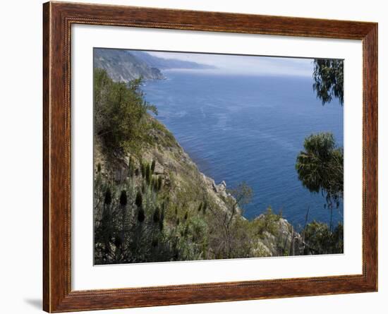 Coastline View, Big Sur, California, United States of America, North America-Ethel Davies-Framed Photographic Print