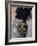 Coat of Arms, Detail from the Portrait of Maria Luisa of Bourbon-Frank Feller-Framed Giclee Print