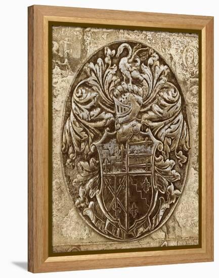 Coat of Arms II-Russell Brennan-Framed Stretched Canvas