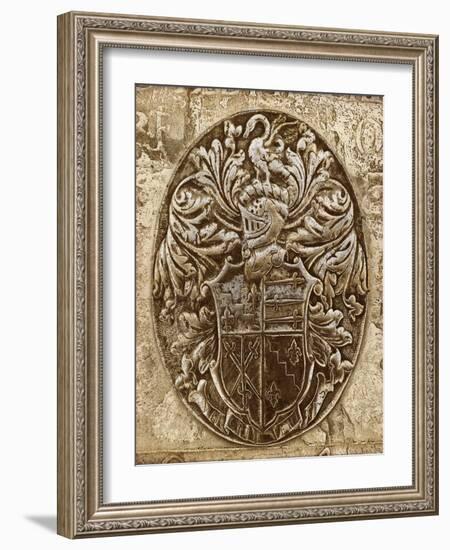 Coat of Arms II-Russell Brennan-Framed Art Print