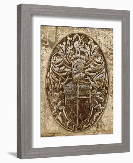 Coat of Arms II-Russell Brennan-Framed Art Print