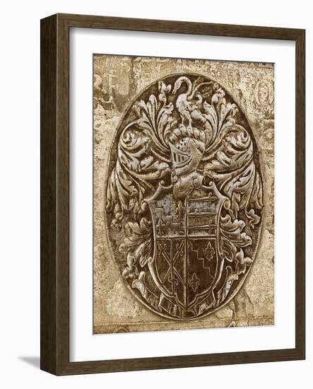 Coat of Arms II-Russell Brennan-Framed Art Print