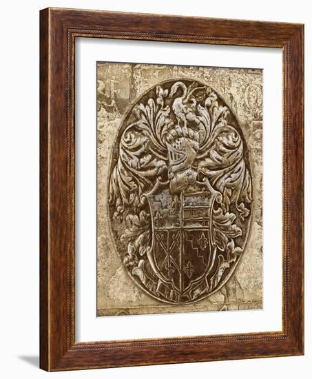 Coat of Arms II-Russell Brennan-Framed Art Print