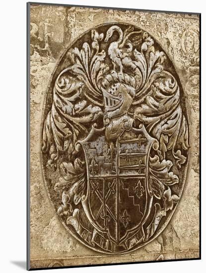 Coat of Arms II-Russell Brennan-Mounted Art Print