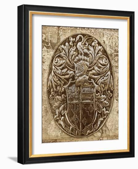 Coat of Arms II-Russell Brennan-Framed Art Print