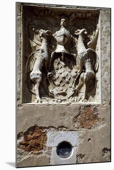 Coat of Arms of Magdelaine-Ragny, Detail from South Facade of Chateau De Corcelles-null-Mounted Giclee Print