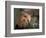 Coati Mundi, Argentina-Walter Bibikow-Framed Photographic Print