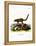 Coati-null-Framed Premier Image Canvas