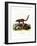 Coati-null-Framed Giclee Print