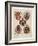 Coats of Arms from the Austro-Hungarian Empire, from 'Heraldischer Atlas'-Hugo Gerard Strohl-Framed Giclee Print