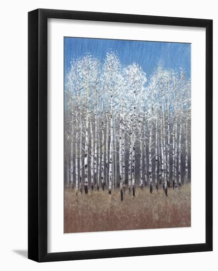 Cobalt Birches I-Tim OToole-Framed Art Print