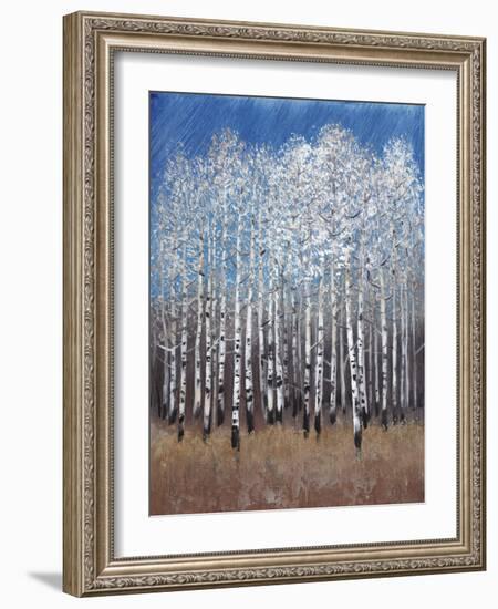 Cobalt Birches II-Tim OToole-Framed Art Print