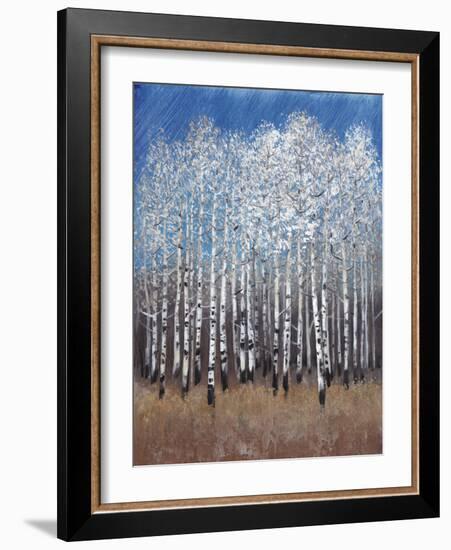 Cobalt Birches II-Tim OToole-Framed Art Print