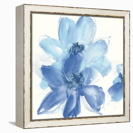 Cobalt Clematis I-Chris Paschke-Framed Stretched Canvas