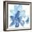 Cobalt Clematis I-Chris Paschke-Framed Art Print