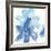 Cobalt Clematis I-Chris Paschke-Framed Art Print