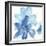 Cobalt Clematis I-Chris Paschke-Framed Art Print