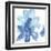 Cobalt Clematis I-Chris Paschke-Framed Art Print