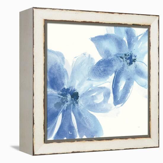 Cobalt Clematis II-Chris Paschke-Framed Stretched Canvas