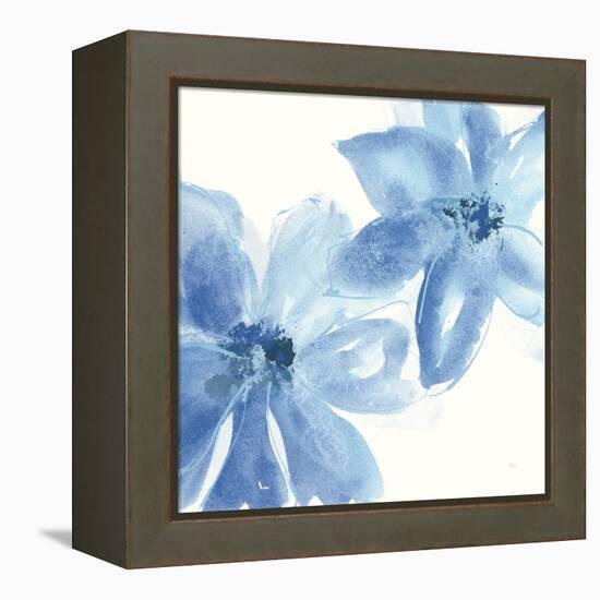 Cobalt Clematis II-Chris Paschke-Framed Stretched Canvas