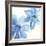 Cobalt Clematis II-Chris Paschke-Framed Art Print