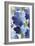 Cobalt Poppies II-Asia Jensen-Framed Art Print