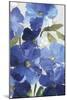 Cobalt Poppies III-Asia Jensen-Mounted Art Print